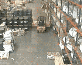 绝望|搞笑gif: 孩子，你经历过绝望吗？