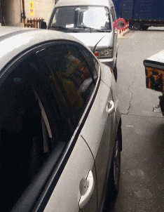 子真|搞笑GIF趣图:妹子,你养的狗子真可爱,能背着篓子逛超市