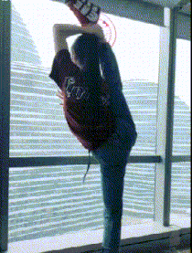 哥们|搞笑GIF：什么？又想骗我去搬砖？