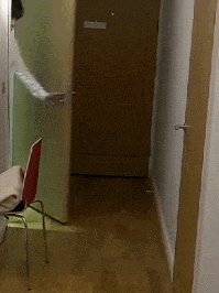 动车|【搞笑GIF动态图】小姐姐跟我回家吧,我偷电动车养你