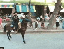 朴实|搞笑GIF：朴实的劳动者，朴实的回答