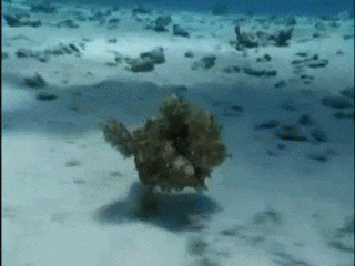 美女|搞笑GIF趣图：美女你顶着两个这么大的压力还能跳过去，我服了