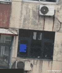 月尾|搞笑GIF:何止是月尾,每天都是这样度过的,哎!