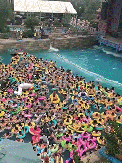 这是|爆笑GIF: 这是什么鬼!吓死本喵了