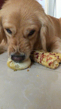 校舍|搞笑GIF：小姑娘，你别高兴的太早了，一会钱还得交给爸妈的