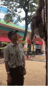 冷冷|搞笑GIF:冷冷冷,快把我放下去!