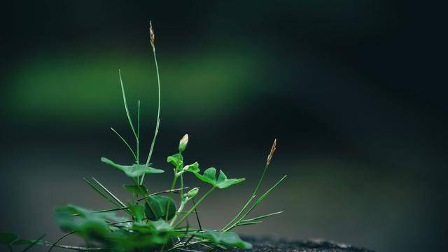 幽默笑话|幽默笑话：小时候家里穷，那时老爸总用一根绳子当腰带