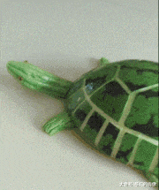 班主任|大叔用的什么牌子的洗发膏, 头发如此飘逸