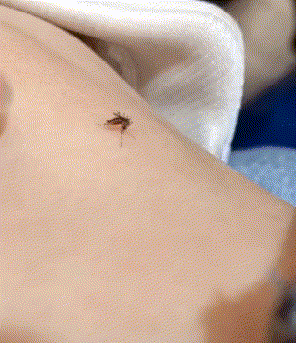 兄弟|搞笑GIF趣图: 兄弟，吃饱了吗？吃饱了，该上路了。