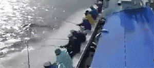 泥瓦工|搞笑动图:你给我吐出来!你怎么什么都吃呢