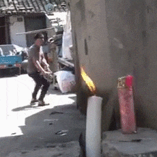 厉害|搞笑GIF:主人遛大狗,大狗遛小狗