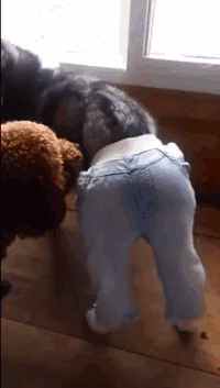 阴影|搞笑gif趣图：让孩子他爸去买几个洗澡用的小鸭子