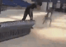 熟能生巧|搞笑GIF: 你还知道你做错了