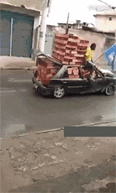 真传|搞笑GIF:我家的哮天犬,是不是很帅