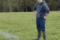 铁柱|搞笑GIF：温顺的二哈