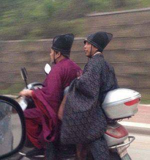 电驴|爆笑图片: 开着小电驴，我们一起去上朝了！