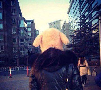 媳妇|爆笑gif图：媳妇自拍能优雅的吗，这姿势很不淑女