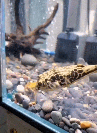 哪吒|搞笑趣图：合影可以接受，要动手就不能忍了。