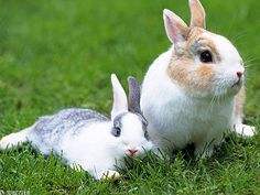 胸肌|爆笑段子:马云送给年轻人的三句话,据说看完的人都哭了!