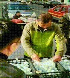 咸蛋|搞笑GIF：?我家狗也不知道受了什么刺激，我该怎么开口问问它呢