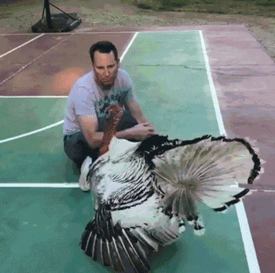 姑娘|搞笑GIF:姑娘你的身材还能再好点吗?都这样了还这么坚持,让我们怎么办?