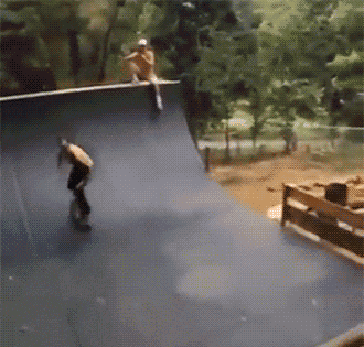 姨夫|搞笑gif趣图：这种狗给我来一只好不好