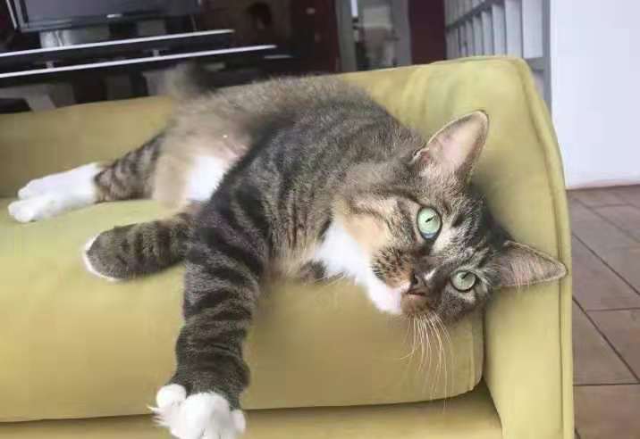 舅舅|开心一刻笑话：夜里电话响了，是一个男生打来的，说是找我