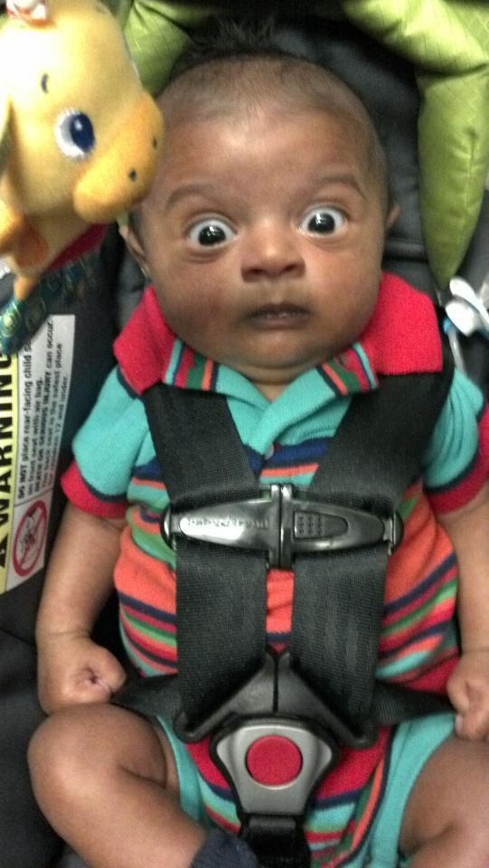 蜘蛛|龙弟弟搞笑段子：新单位上班