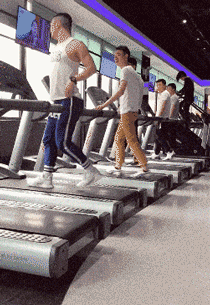 拔河|搞笑gif：二哈的智商真堪忧啊！真逗