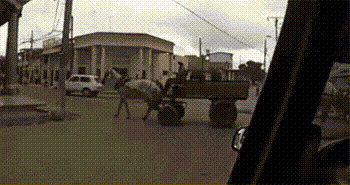 小金|爆笑GIF图:看着妖娆的打球方式,鱼也喝酸奶?