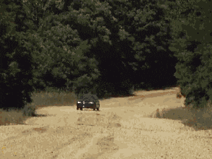 妹子|大哥, 看到你翻车了, 我就放心了, 让你皮