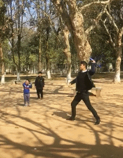 妹子|搞笑GIF:妹子你是属于哪一派的,这功夫打的很漂亮