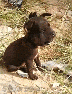 美女|搞笑GIF：美女，我就只想搭个车