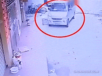 狗贼|搞笑：我帅吧