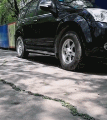 不意|童年的我,没和跟我玩我就跟猪玩