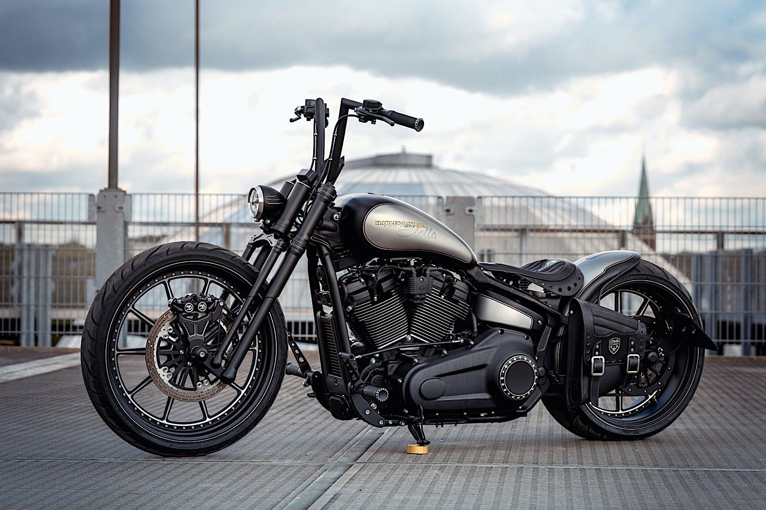 阳刚与柔美并存,德国车厂定制改装哈雷突破者