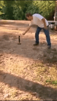 舍友|搞笑GIF:今日好倒霉,被一条狗子害了