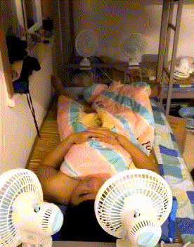 就是|第二张图太魔性了，我跟着这条狗子笑了起来！