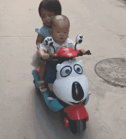 考试|搞笑gif趣图：这正开车呢？你能不能老老实实啊！