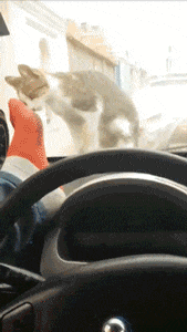 哈哈哈|搞笑GIF：有一个能陪你喝酒的兄弟从此不再孤单