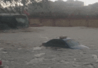 大车|这碟黄瓜条吃出3只鸡的价格！