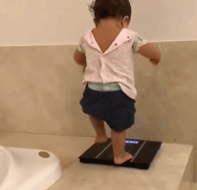 仓鼠|搞笑GIF: 我妈就经常这样