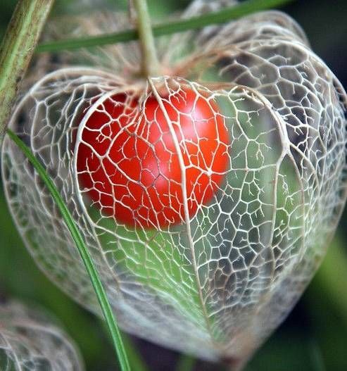 卫生纸|爆笑段子：帅哥走过来悄悄对我说：美女你的裙子扎内裤里了。