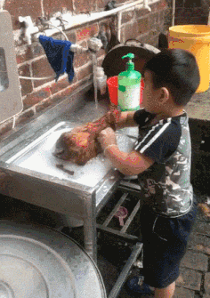 棒槌|搞笑GIF:黄狗:我也不知道为啥,黑狗拿起棒槌就打我屁股