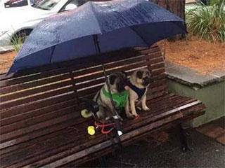 妹子|搞笑GIF趣图: 妹子我服你