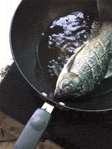 小提琴|搞笑GIF:肯定是太难听了,小提琴听不下去了……