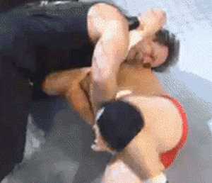 神秀|首发一波搞笑有趣的gif图「第一期」