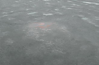 唾沫星子|搞笑GIF:局部大暴雨,没毛病