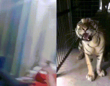 武松|曾经也是个王者,后来武松来了