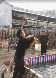 全套|搞笑GIF：演戏要全套，没球也得投